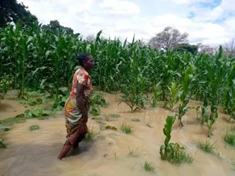Flooded field in Namwala, Southern Province, Zambia, Jan/Feb 2023. Photo: Disaster Management and Mitigation Unit (DMMU) Zambia