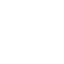 UNFPA logo