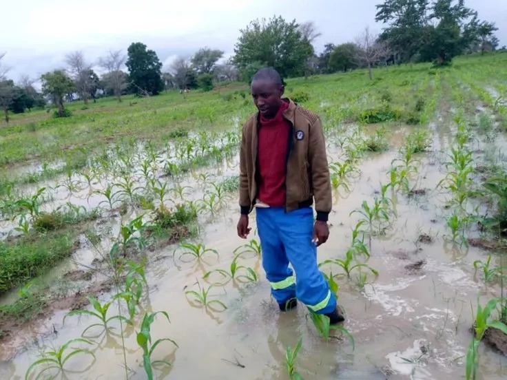 Flooded field in Namwala, Southern Province, Zambia, Jan/Feb 2023. Photo: Disaster Management and Mitigation Unit (DMMU) Zambia