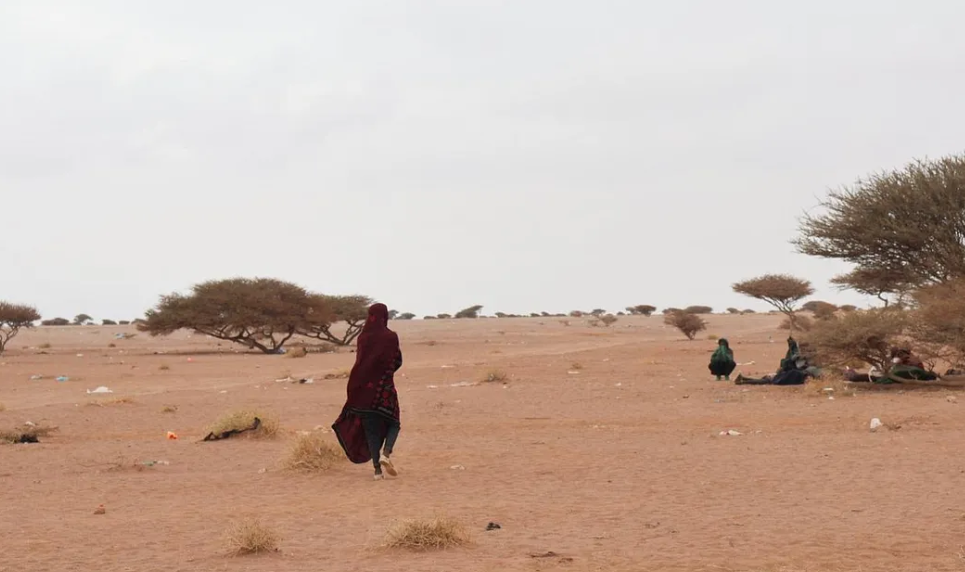IOM Djibouti, 2025