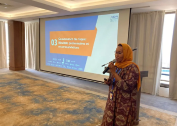 Toward Stronger Disaster Management Systems in Djibouti with the CADRI Partnership