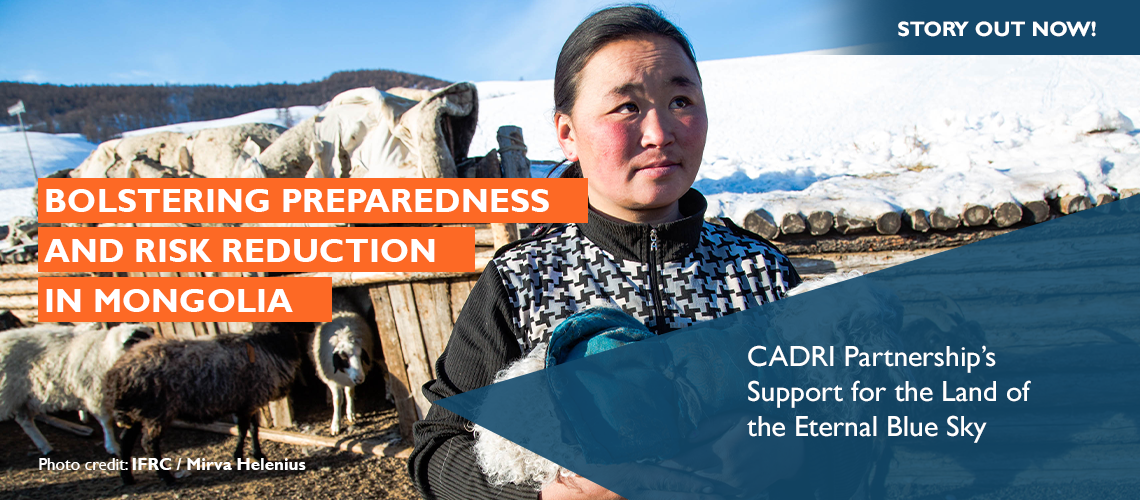 Bolstering Preparedness and Risk Reduction in Mongolia: CADRI Partnership’s Support for the Land of the Eternal Blue Sky