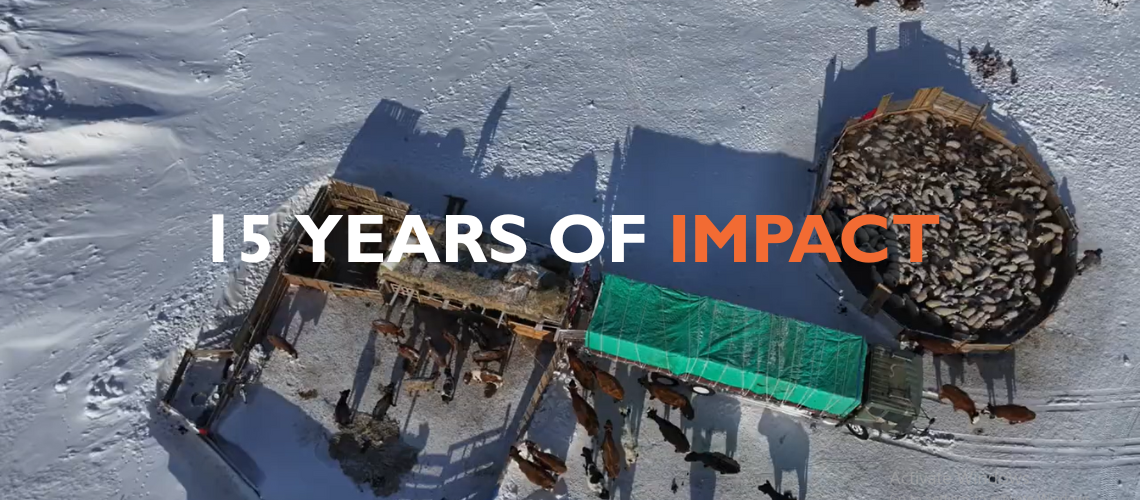 15 Years of Impact