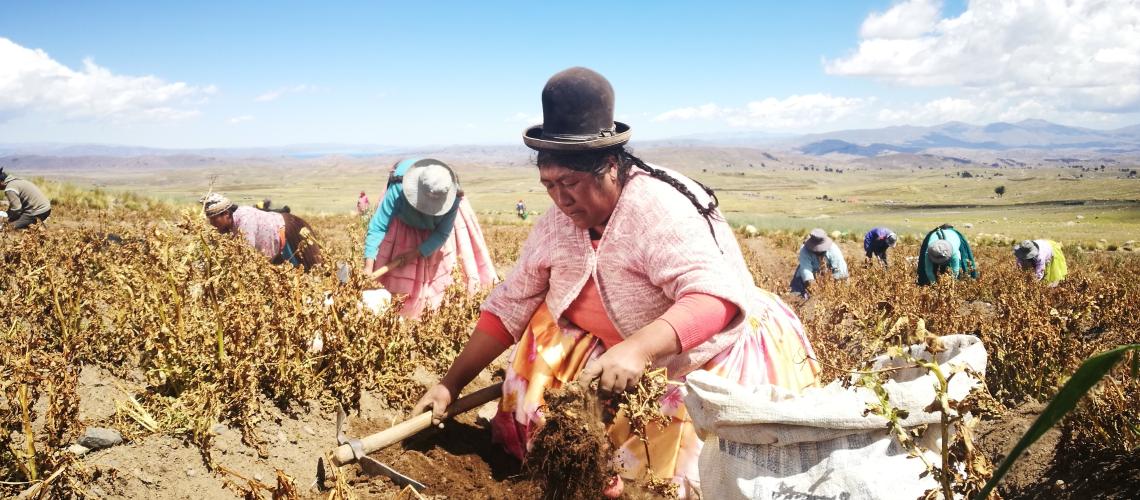 Women in Bolivia photo credits FAO
