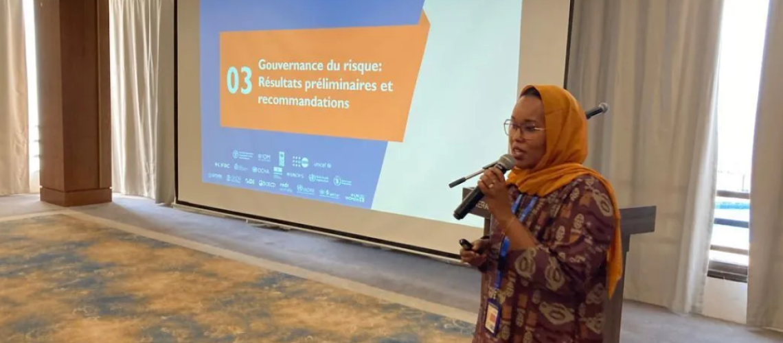 Toward Stronger Disaster Management Systems in Djibouti with the CADRI Partnership