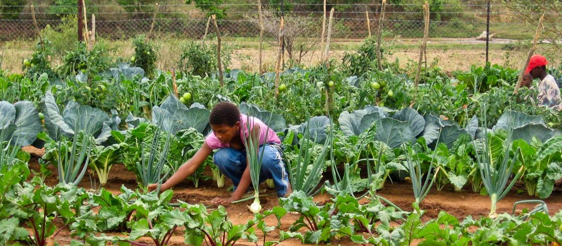 Eswatini country page
