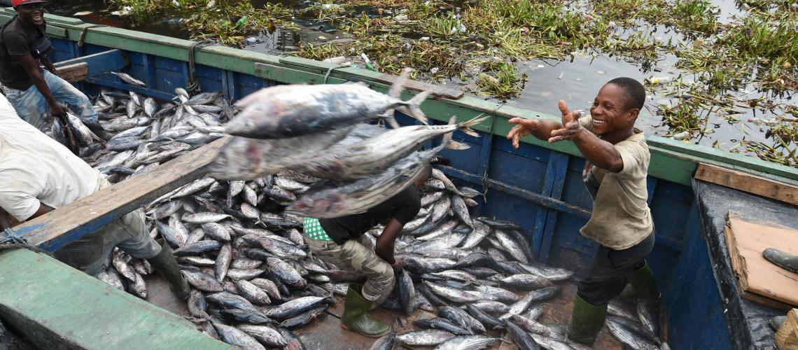 Côte d'Ivoire