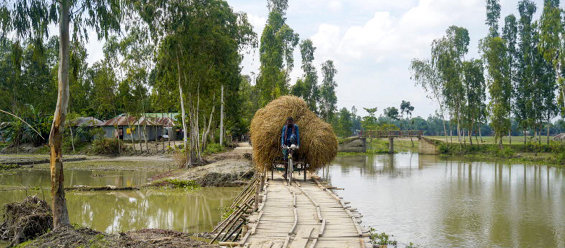 Image showing man on bicycle hauling straw beside a river
