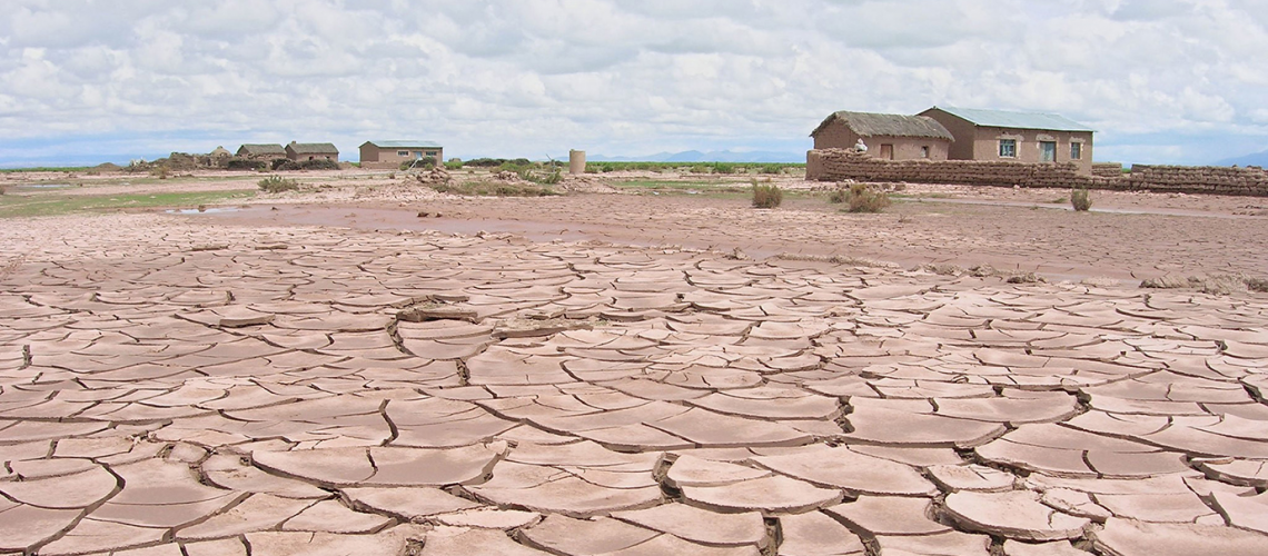 Cracked desert earth