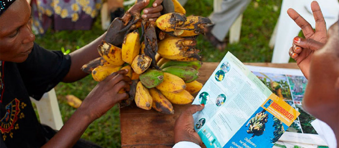 Man holding bunch of bananas