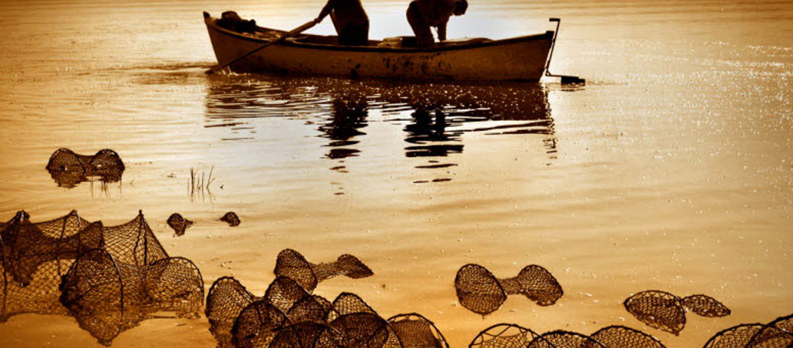 Men in a boat fishing