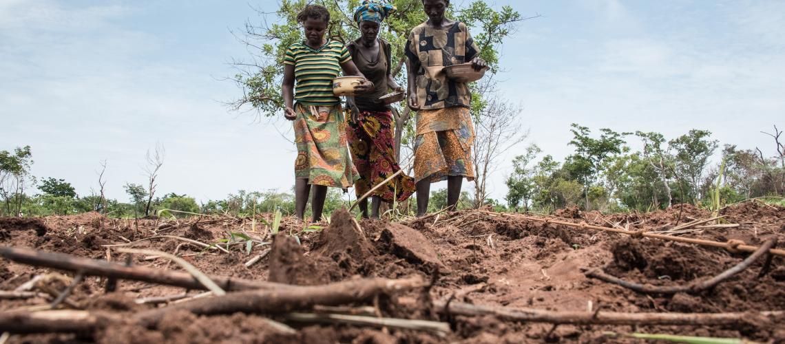 Three people working with the soil