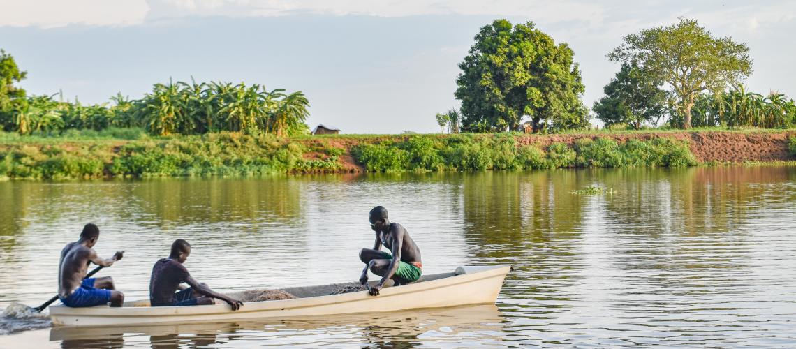 People canoeing down a river