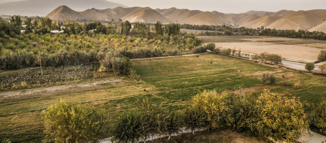 farm land aerial view