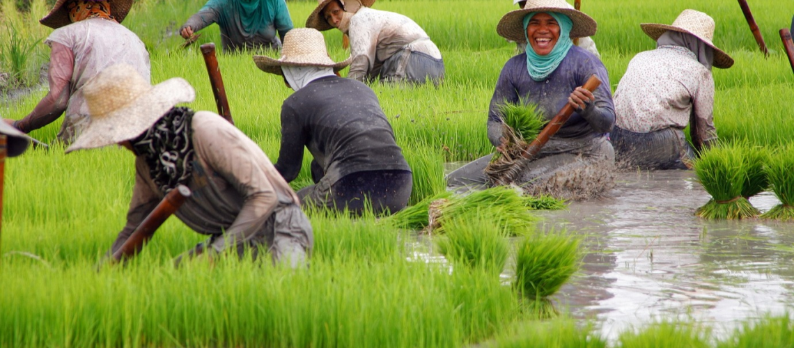 Building resilient societies: the UN’s joined-up approach