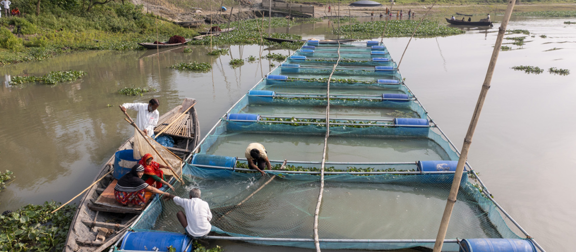 Pathway to aquaculture biosecurity: managing disease risks in the value chain