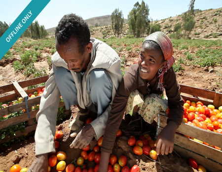 Man and woman working in a field