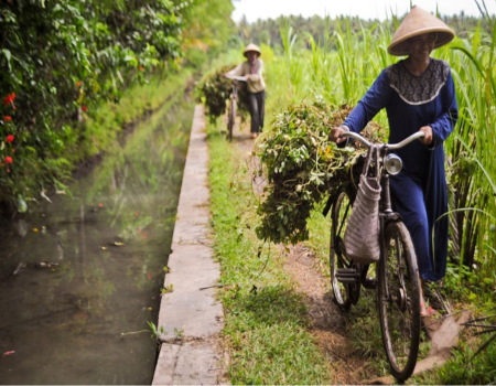 Climate-smart crop production 