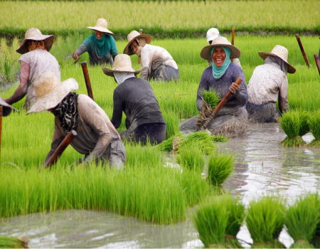 Building resilient societies: the UN’s joined-up approach