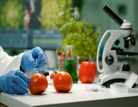 Science and risk analysis in Codex