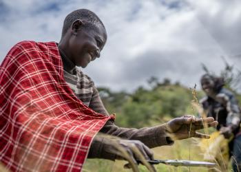 Tanzania Capacity Diagnosis Report