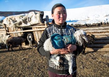 Person holding a small lamb wrapped in a blue fabric, standing outdoors near a wooden animal shelter, with sheep and goats grazing in the background