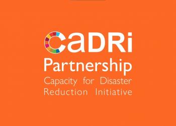 Embedded thumbnail for CADRI Partnership
